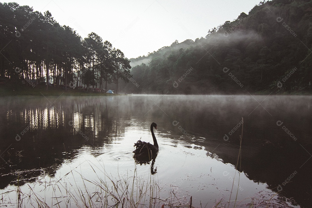 Paisagem do reservatório e o nevoeiro da manhã.