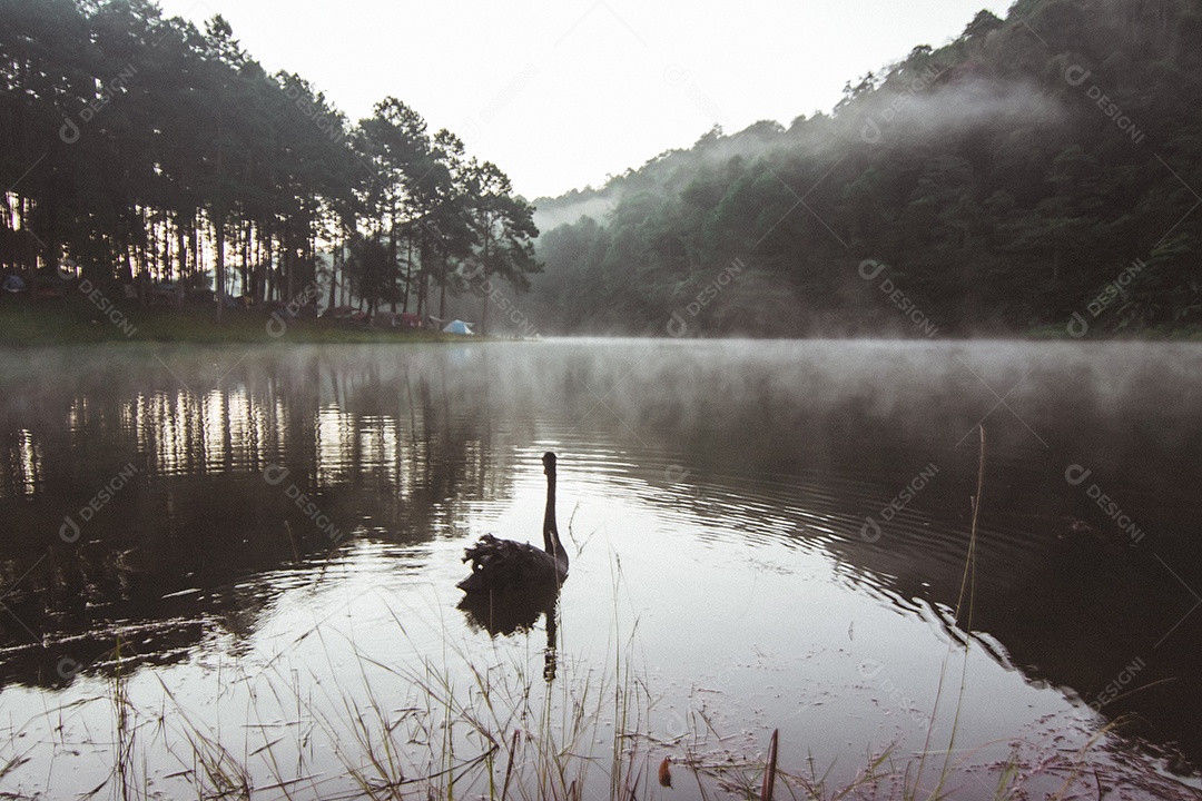 Paisagem do reservatório e o nevoeiro da manhã.