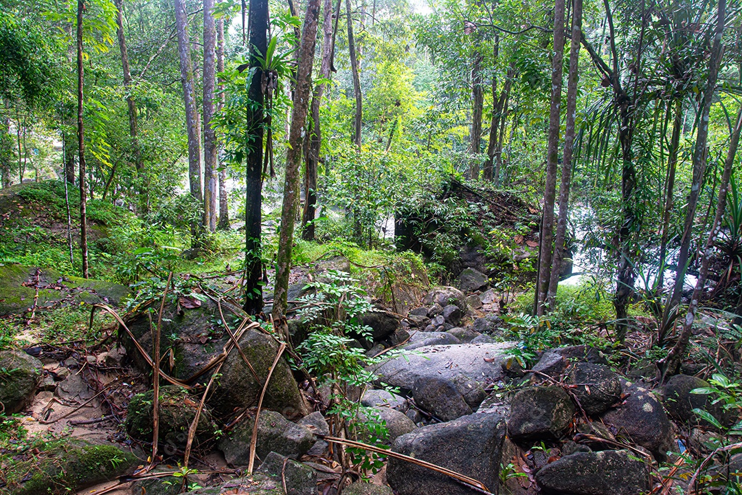 pequeno cachoeira na floresta verde Yala Tailândia