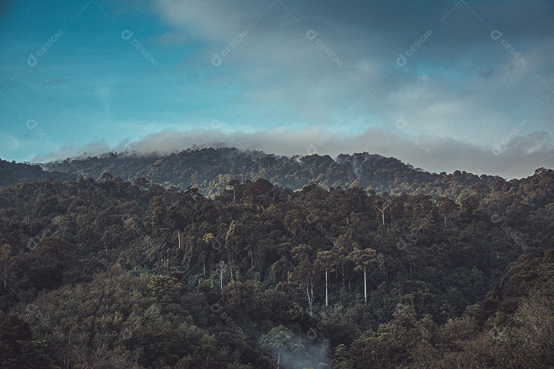 Vista matinal da paisagem montanhosa com neblina no fundo do céu e nuvens na província de Phatthalung, sul da Tailândia.