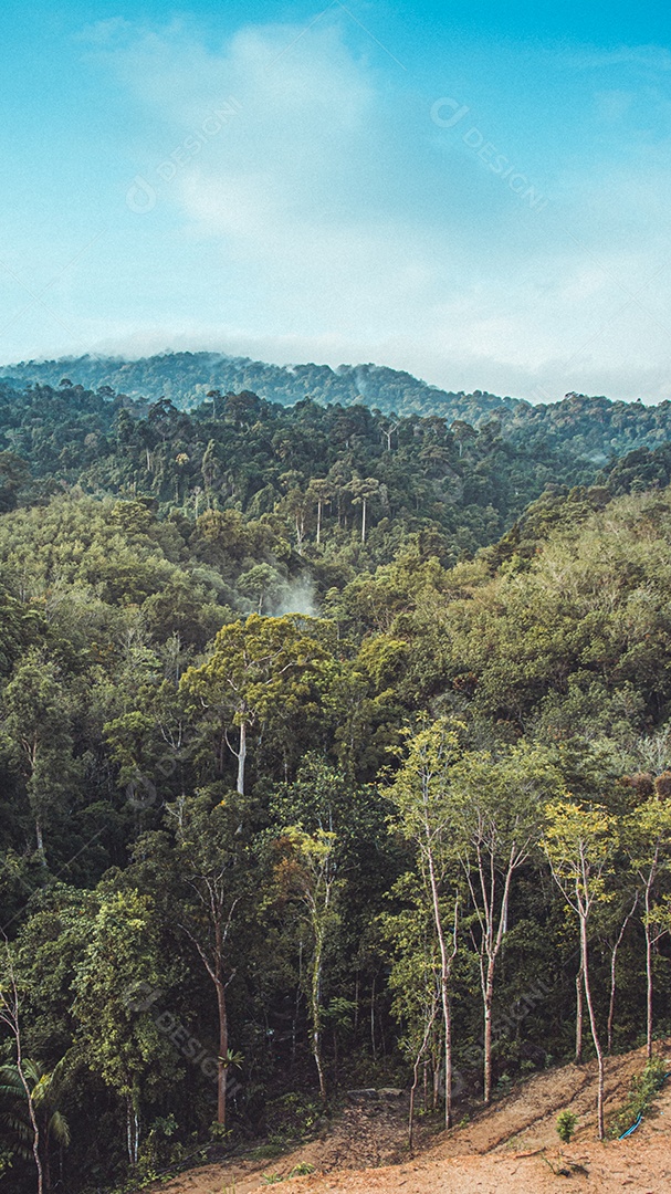 Vista matinal da paisagem montanhosa com neblina no fundo do céu e nuvens na província de Phatthalung, sul da Tailândia.