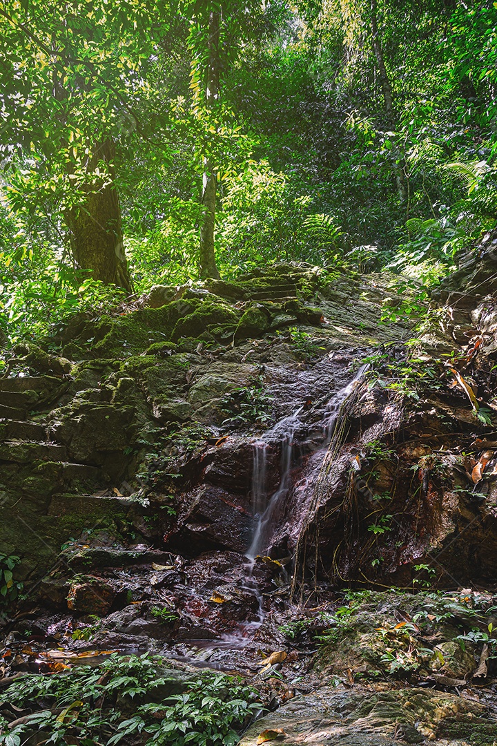 Cachoeira incrível na floresta verde Laong Rung Waterfall Yala Tailândia