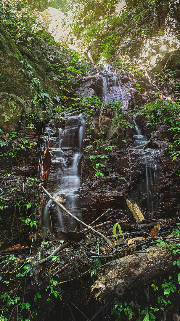 Cachoeira incrível na floresta verde Laong Rung Waterfall Yala Tailândia