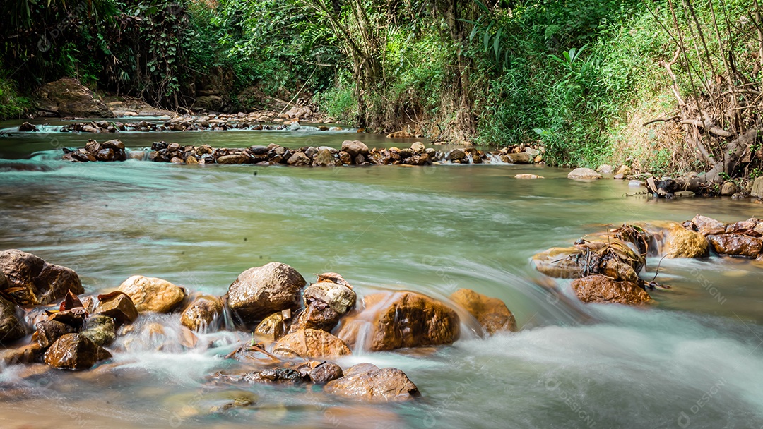 pequeno riacho na floresta verde Yala Tailândia