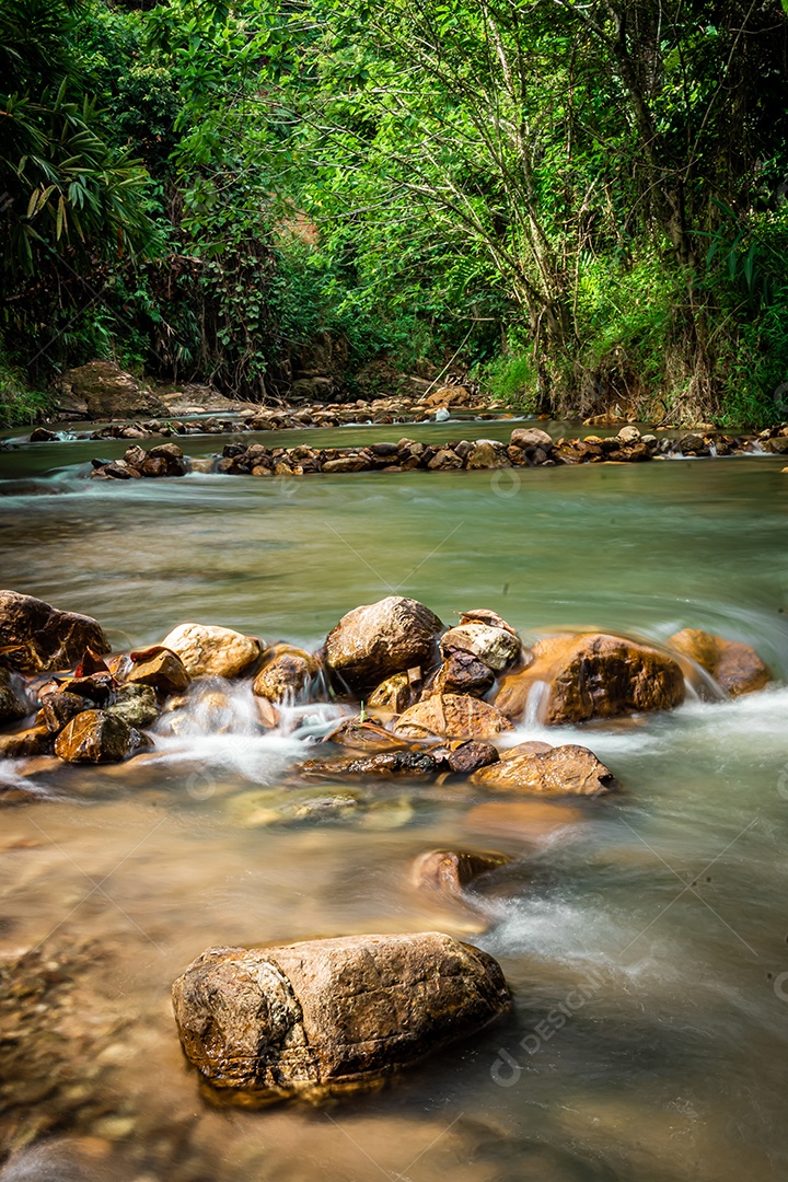 pequeno riacho na floresta verde Yala Tailândia