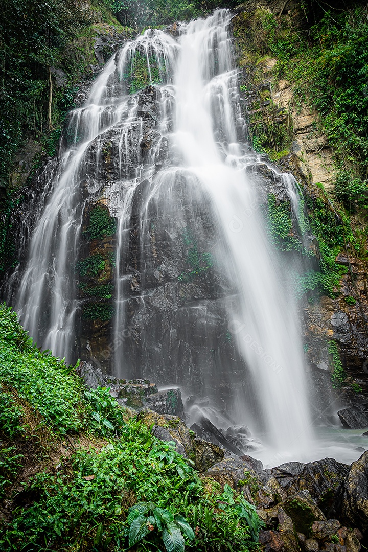 Cachoeira incrível na floresta verde, a cachoeira terrestre de Halaza está no Parque Nacional de Bang Lang Tham Thalu, Bannang Sata, Yala Tailândia