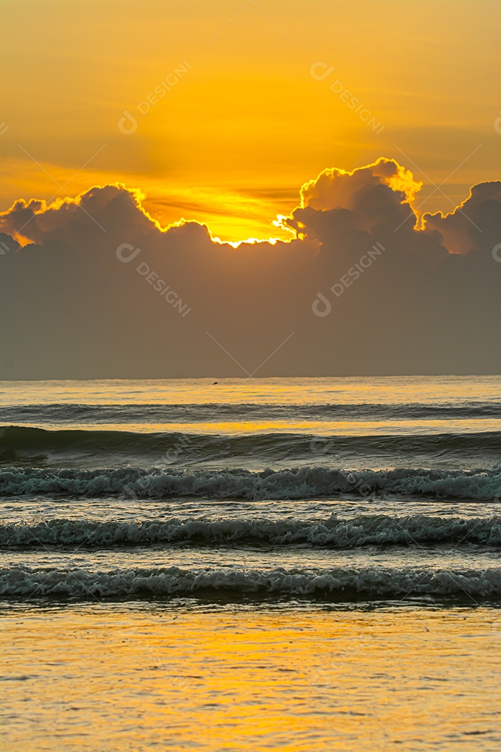 Pôr do sol rosa sobre a superfície lisa do Mar Negro com pinheiros