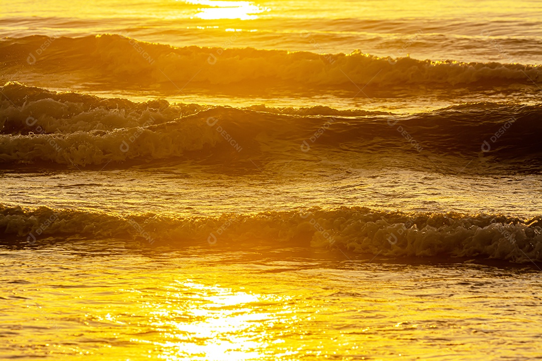 Pôr do sol rosa sobre a superfície lisa do Mar Negro com pinheiros