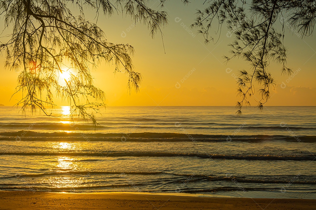 Pôr do sol rosa sobre a superfície lisa do Mar Negro com pinheiros