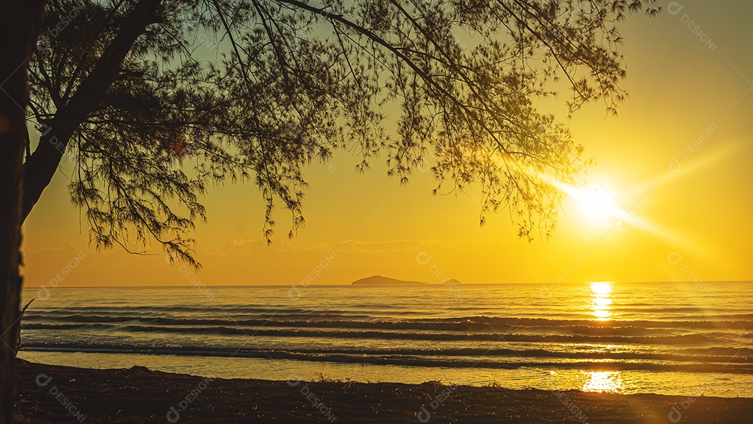 Pôr do sol rosa sobre a superfície lisa do Mar Negro com pinheiros