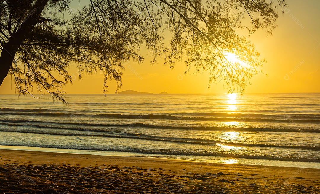 Pôr do sol rosa sobre a superfície lisa do Mar Negro com pinheiros