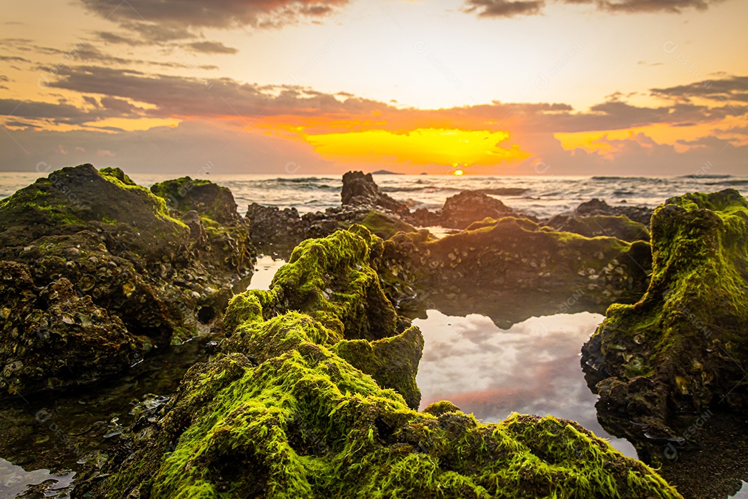 sunset landscape on the beach rocks in the foreground