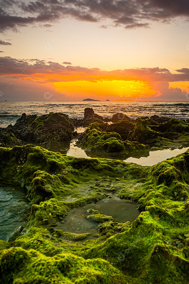 paisagem por do sol nas rochas da praia em primeiro plano