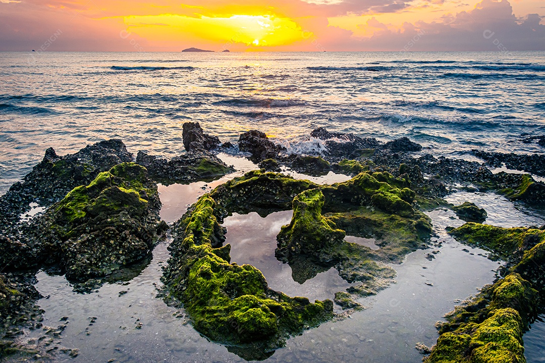 paisagem por do sol nas rochas da praia em primeiro plano