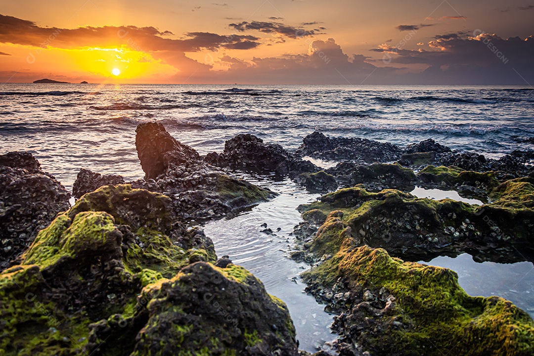 paisagem por do sol nas rochas da praia em primeiro plano