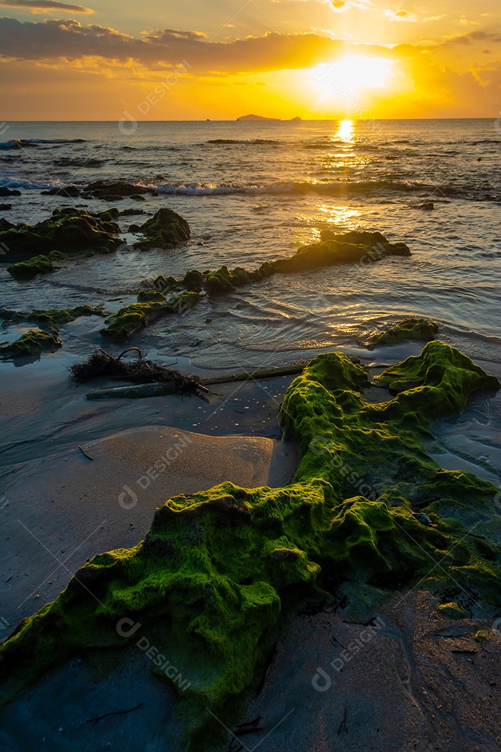 paisagem por do sol nas rochas da praia em primeiro plano