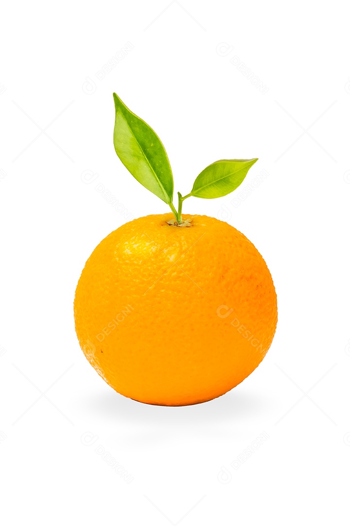 Fruta laranja em fundo branco.