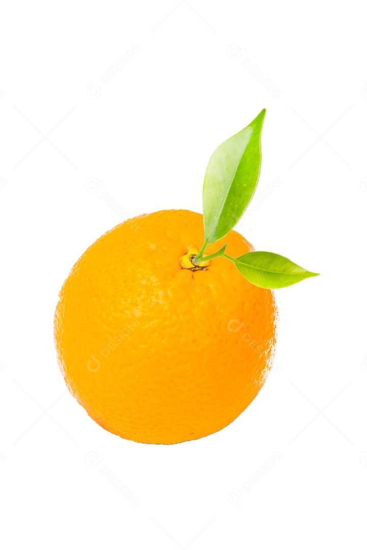 Fruta laranja em fundo branco.