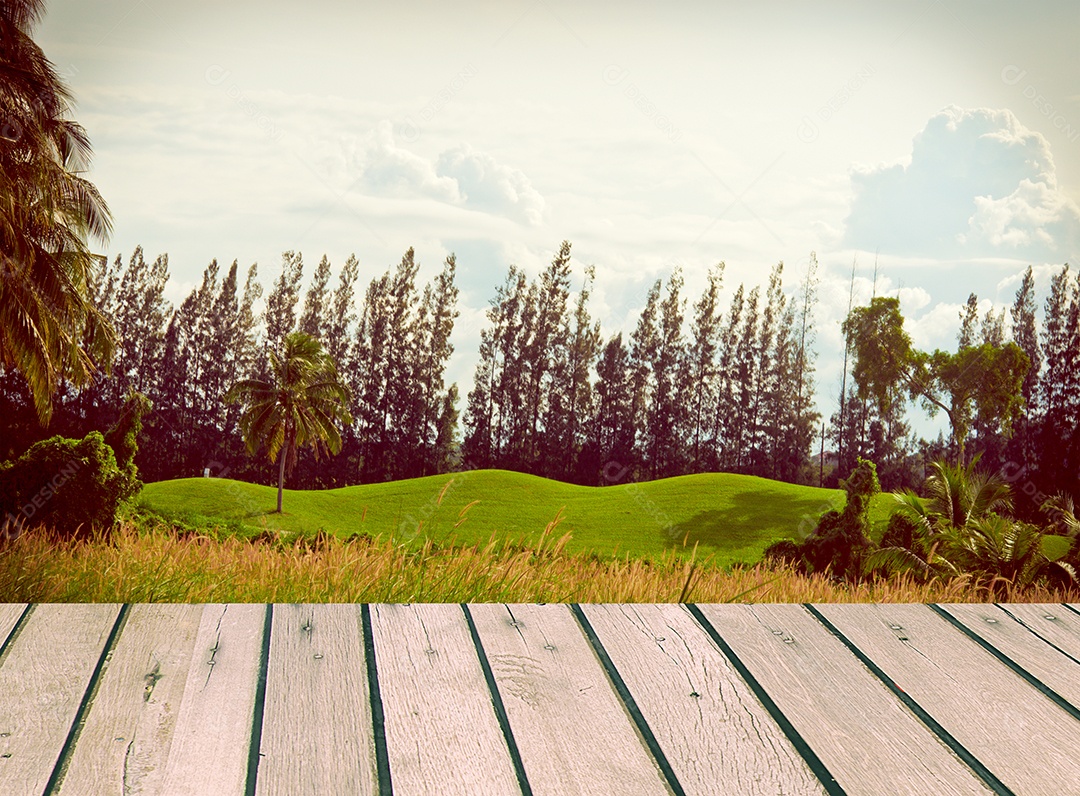 Tampo de madeira com vistas da árvore natural como plano de fundo