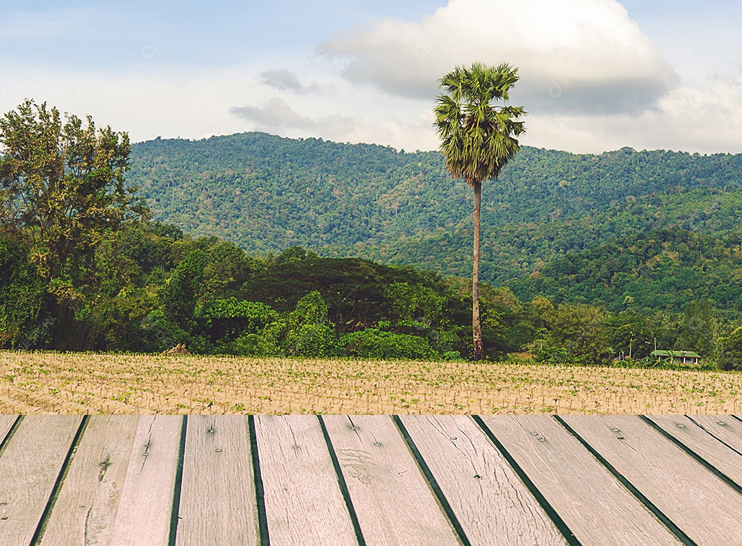 Tampo de madeira com vistas da árvore natural como plano de fundo