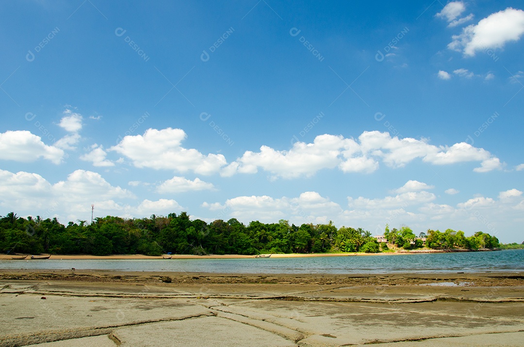 Conchas fósseis na praia de Tailândia