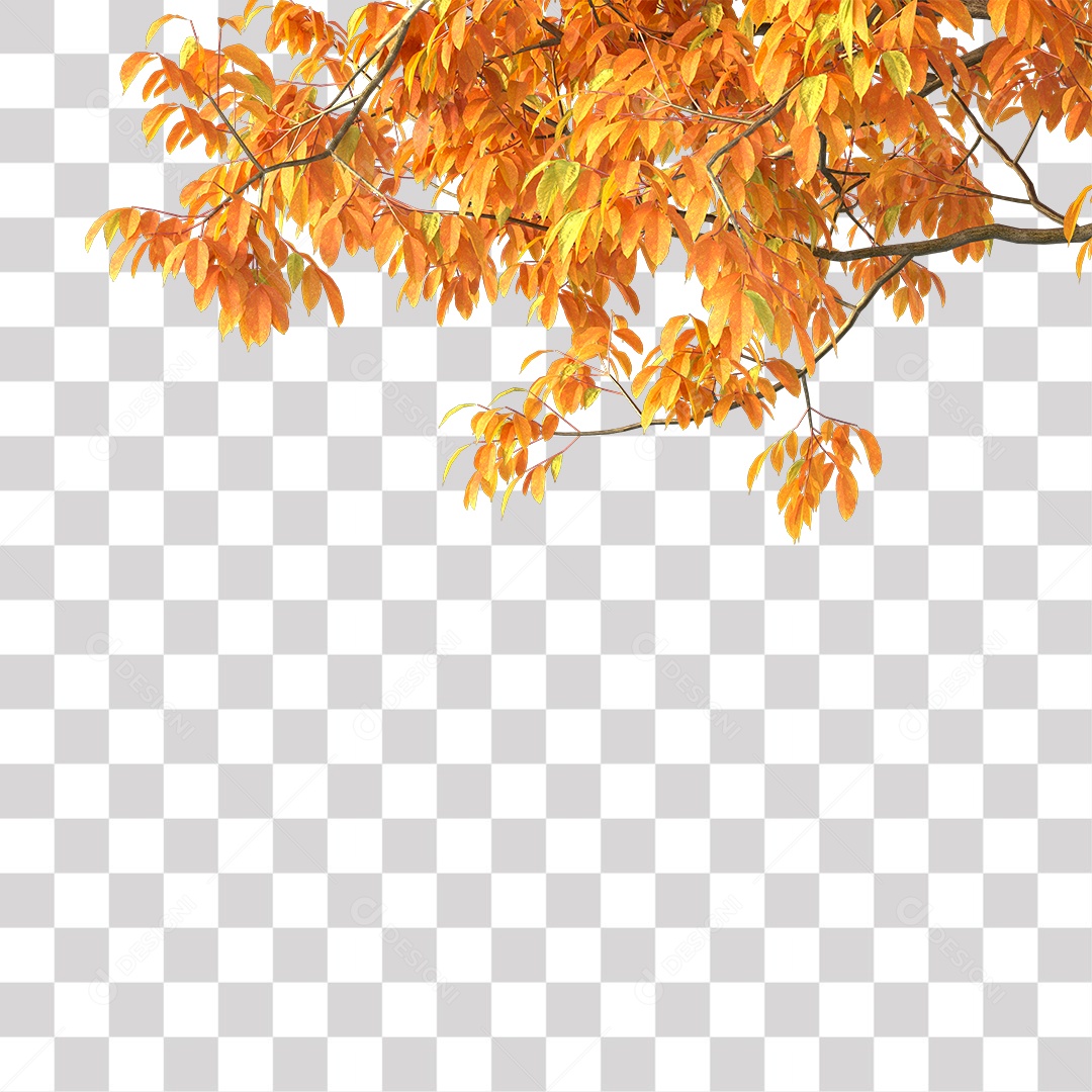 Folha Amarela Árvore PNG Transparente
