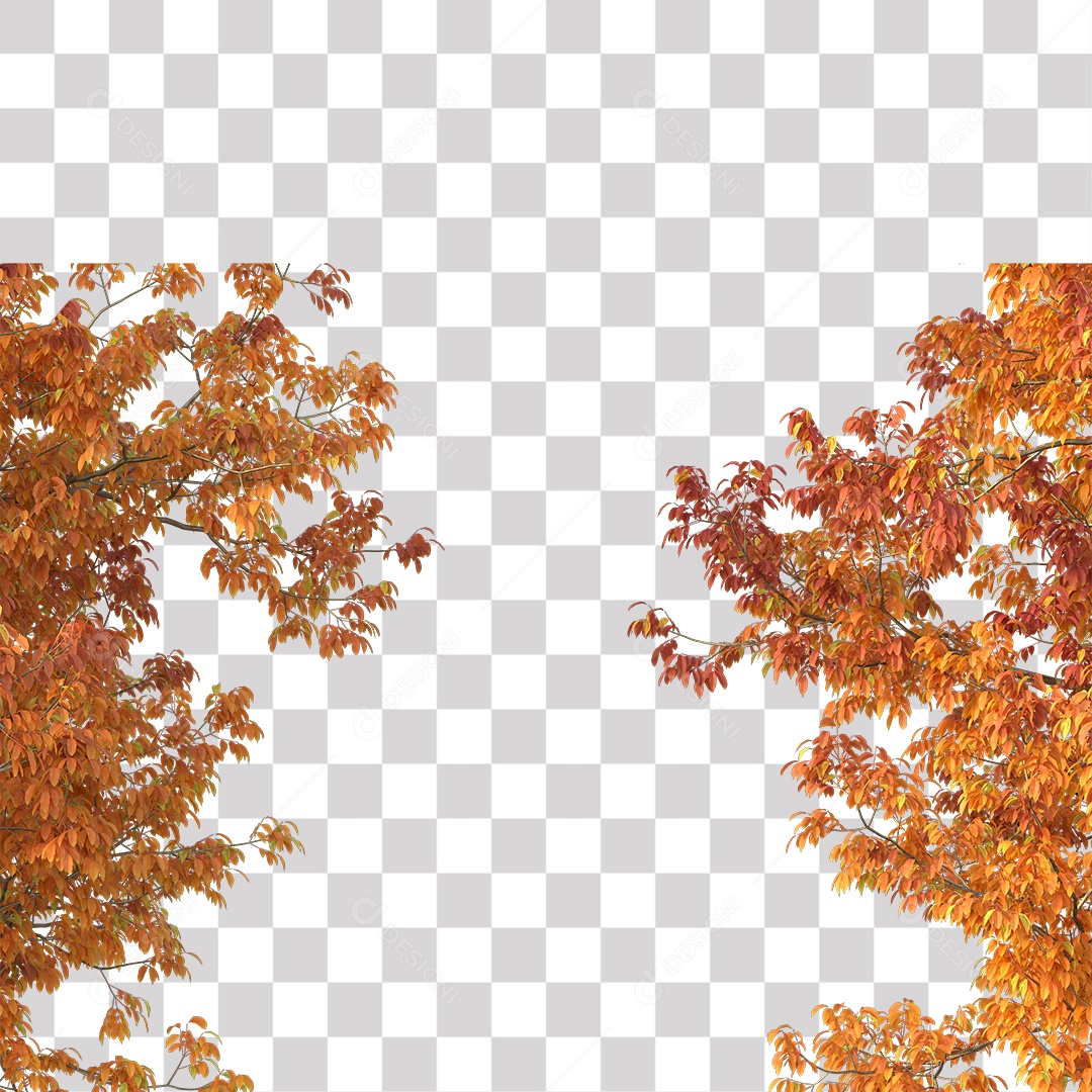 Árvores de Outono PNG Transparente