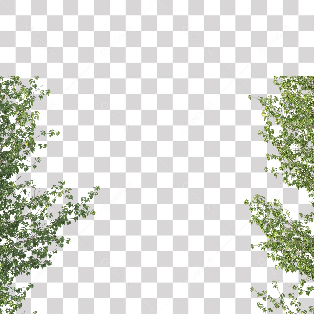 Folhas verdes de árvores PNG Transparente