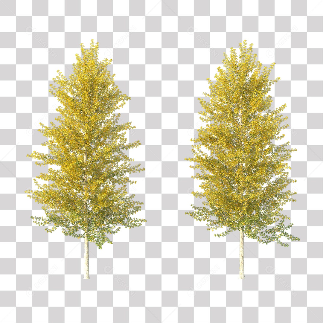 Árvores PNG Transparente