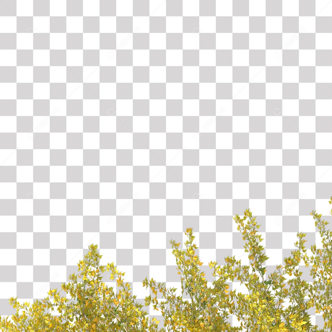 Folhas Amarela PNG Transparente