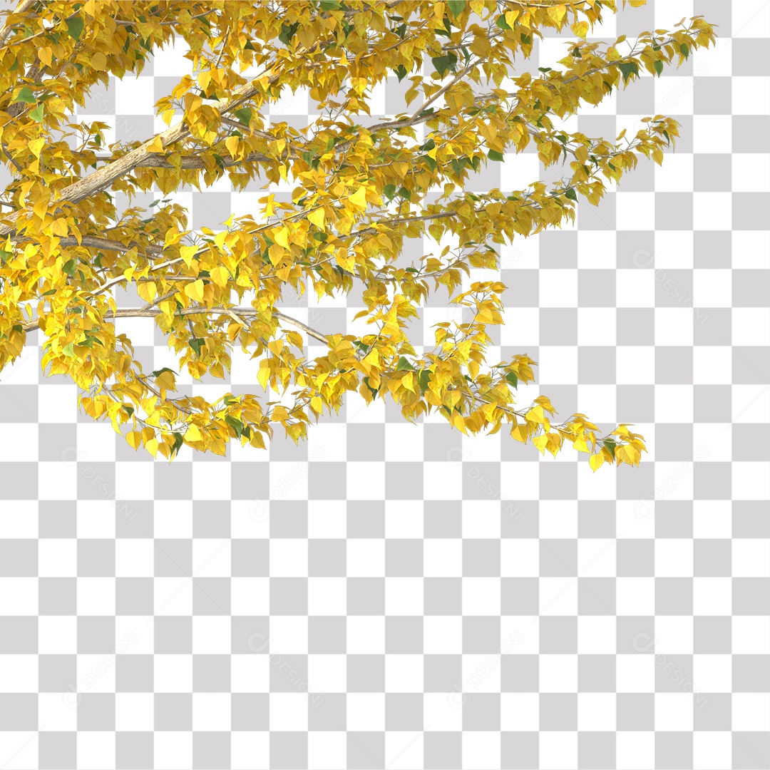 Folhas Amarela PNG Transparente