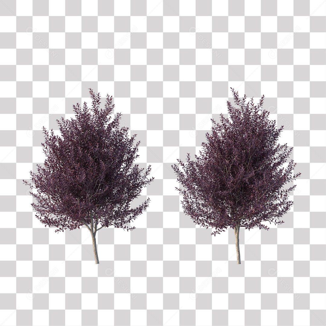 Árvore de Folha Roxa PNG Transparente