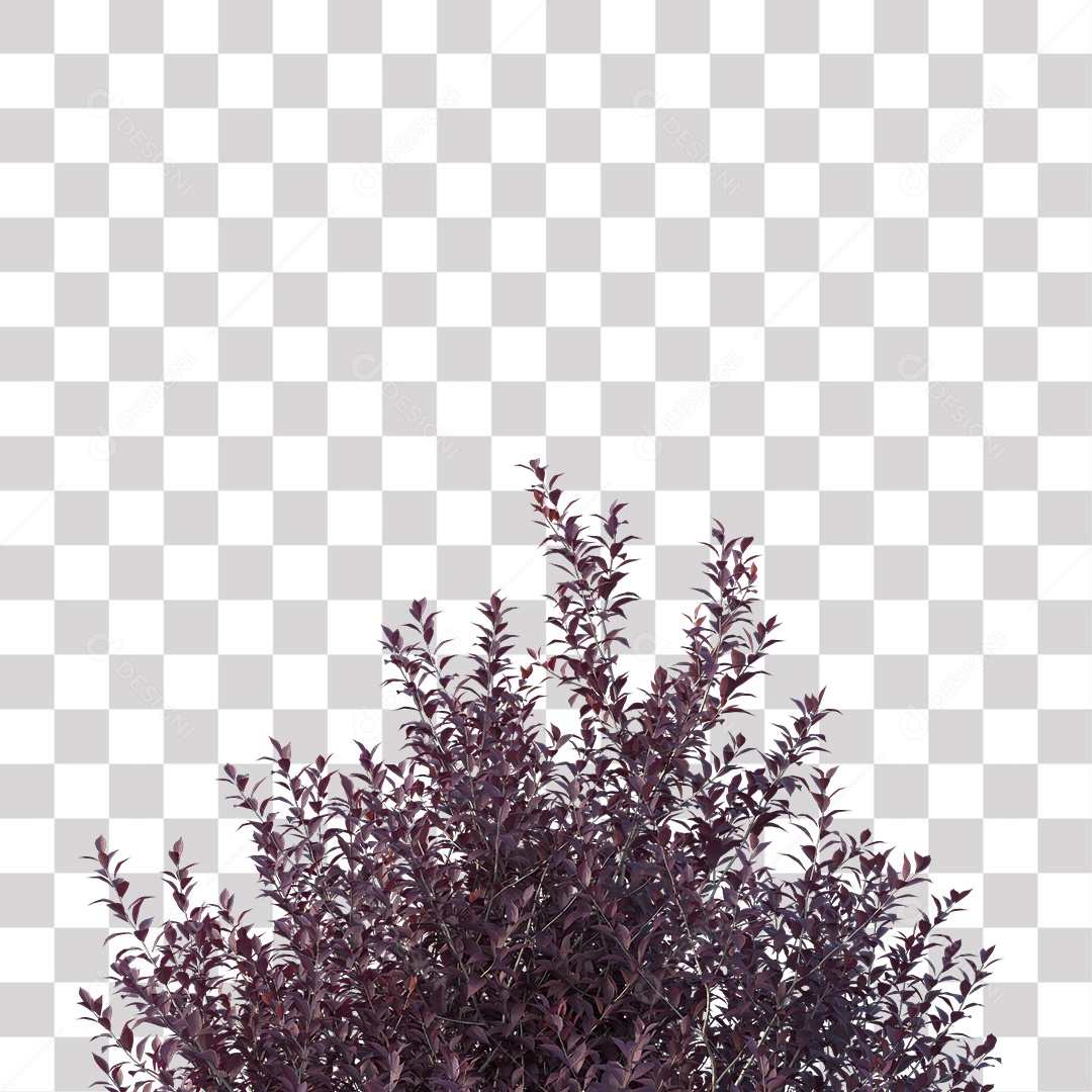 Folhas Roxas PNG Transparente