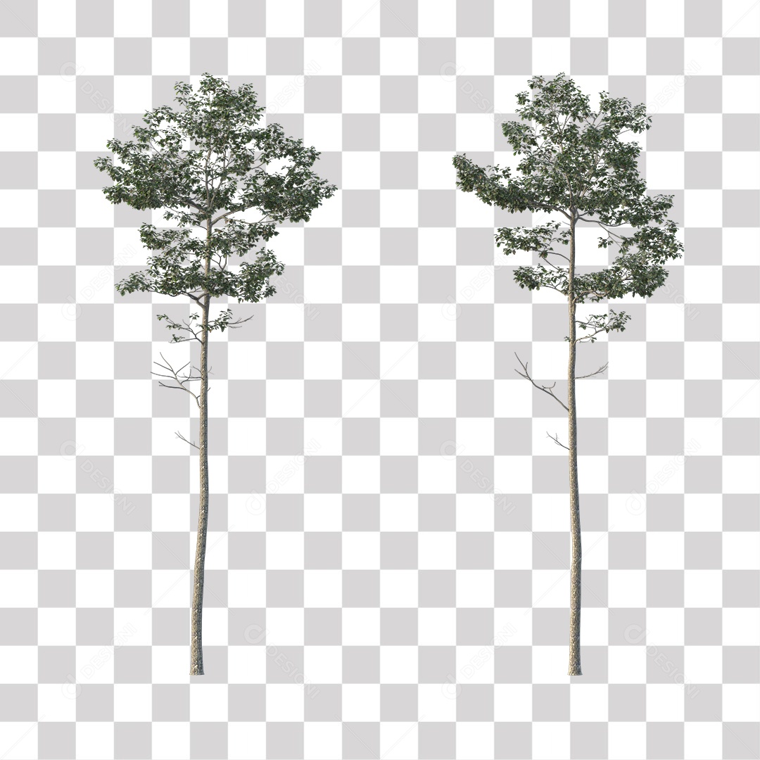 Árvores verdes PNG Transparente