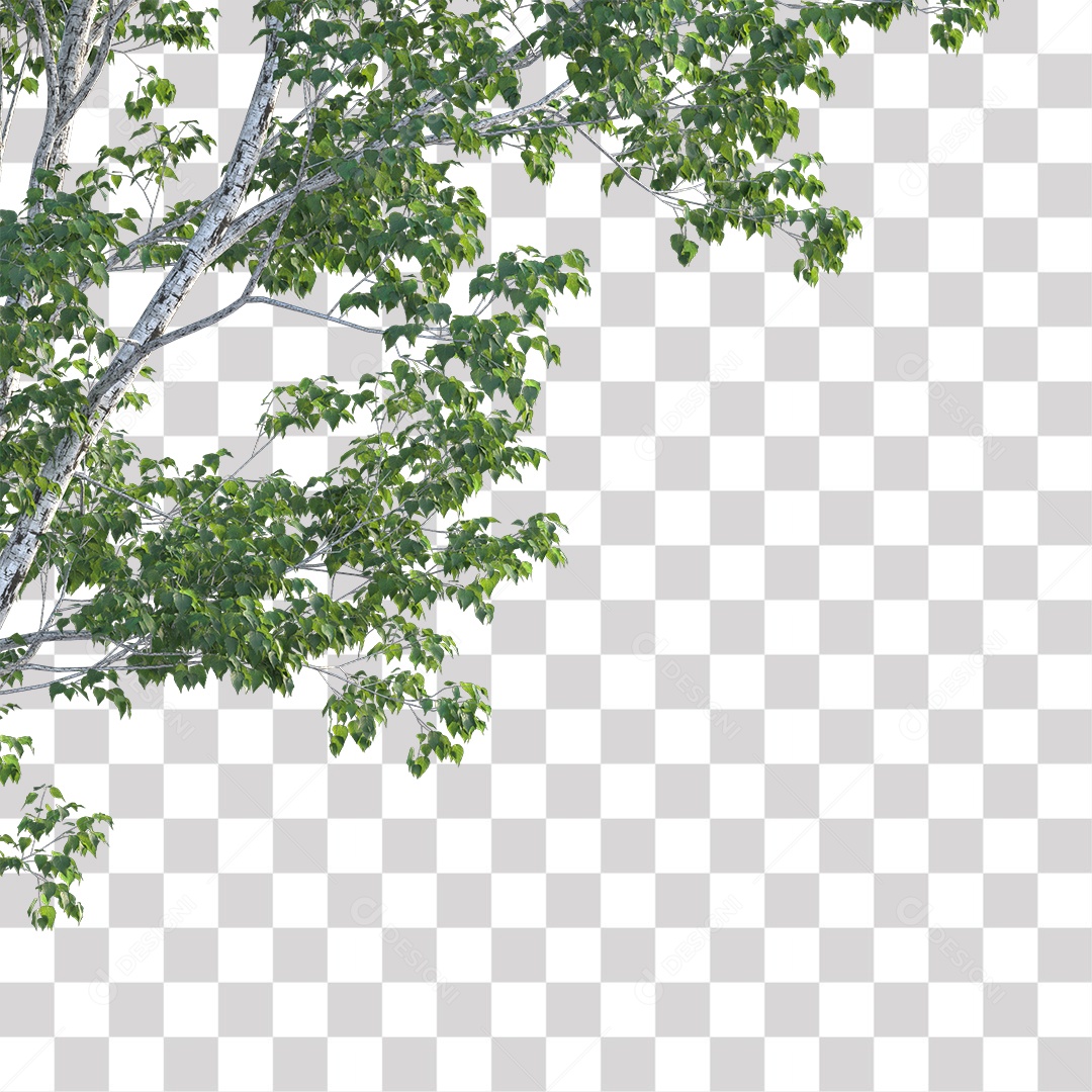 Folhas verdes de árvores PNG Transparente