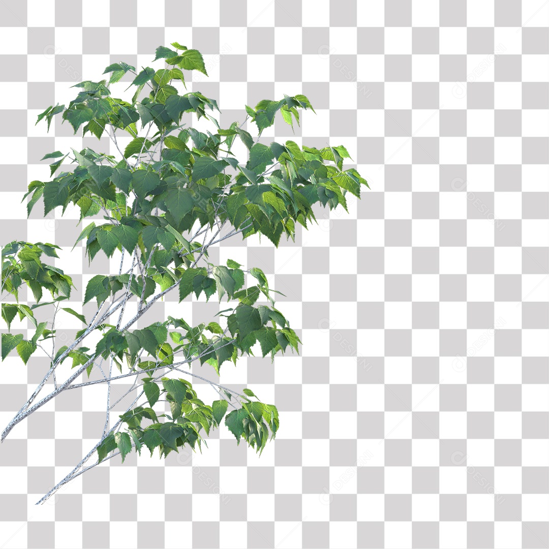 Árvores verdes PNG Transparente