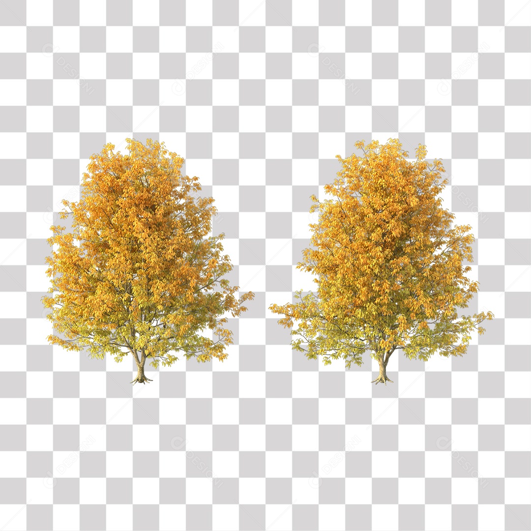 Folha Amarela Árvore PNG Transparente