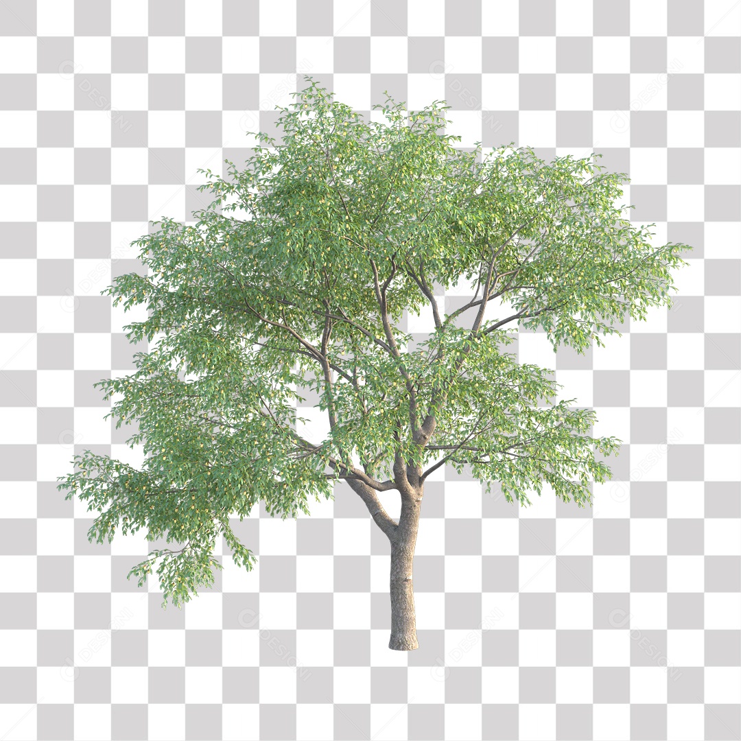 Árvores verdes PNG Transparente