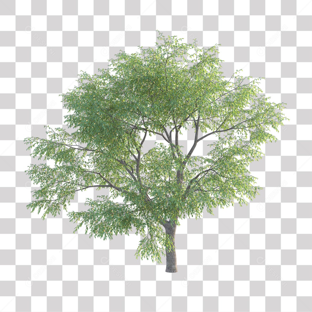 Árvores verdes PNG Transparente