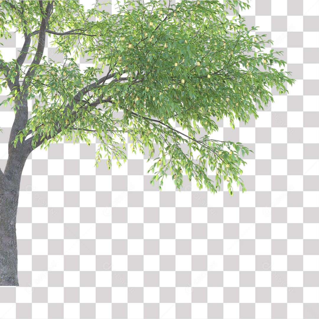 Árvores verdes PNG Transparente