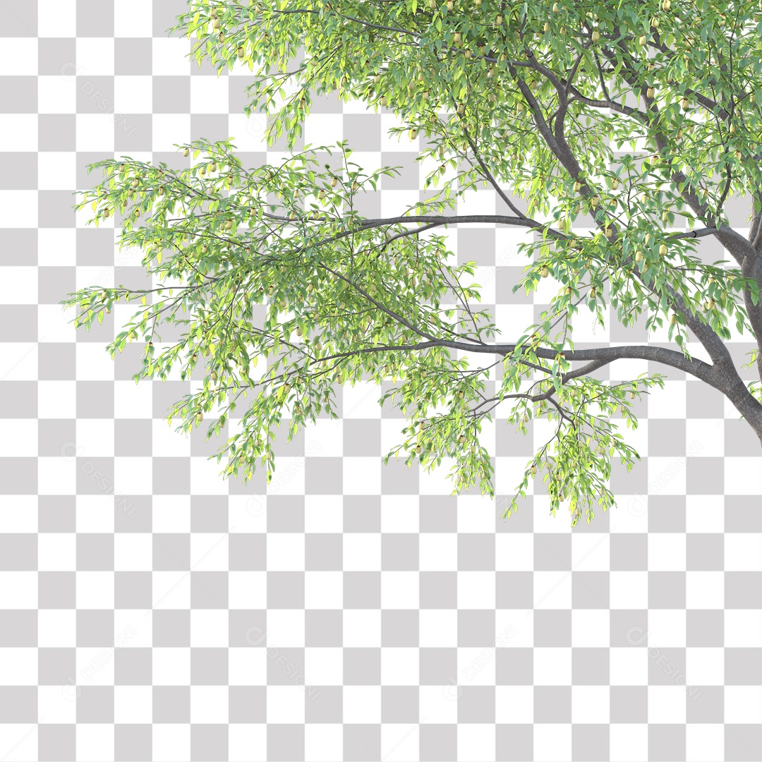 Árvores verdes PNG Transparente