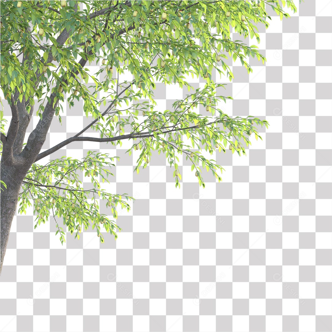 Árvores verdes PNG Transparente