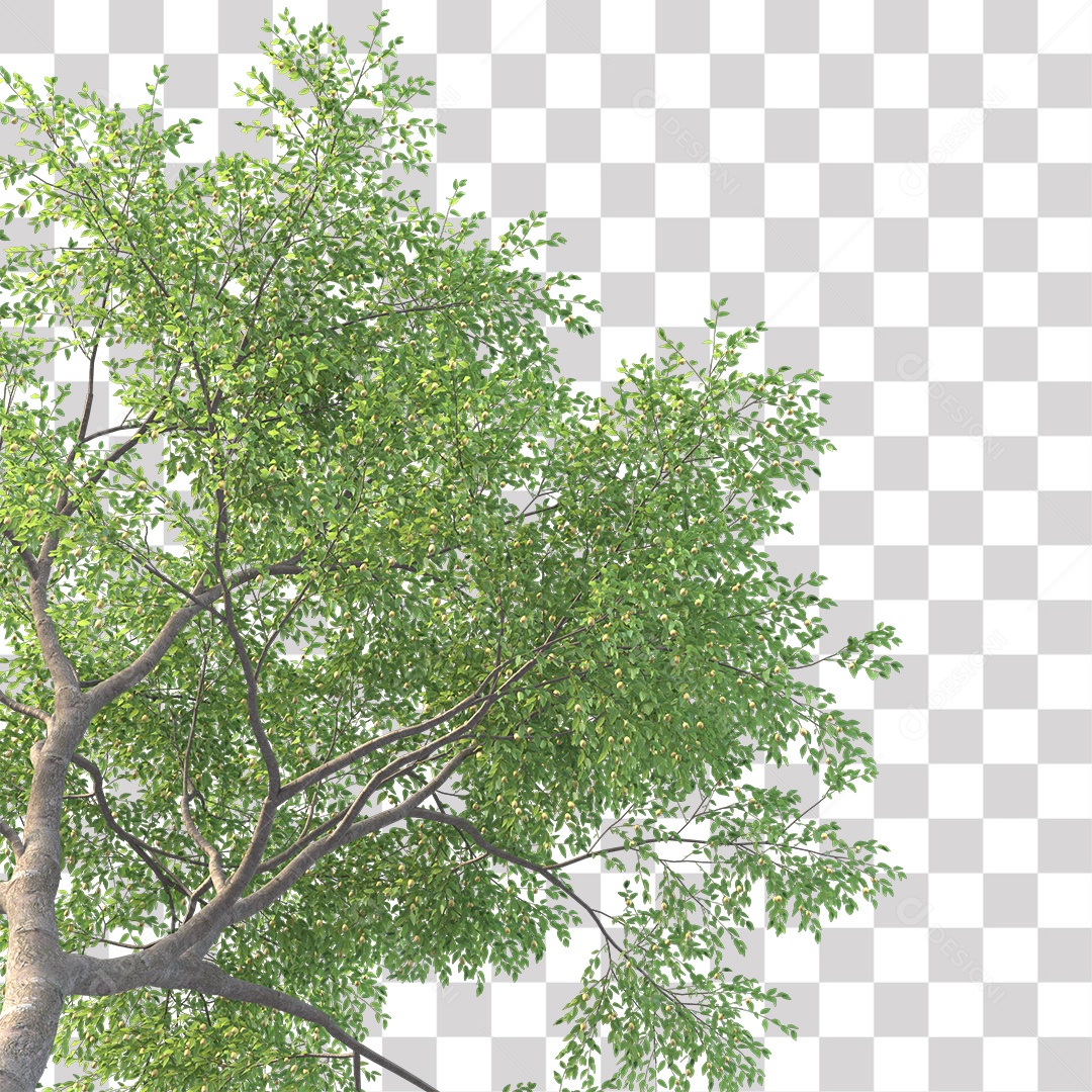 Árvores verdes PNG Transparente