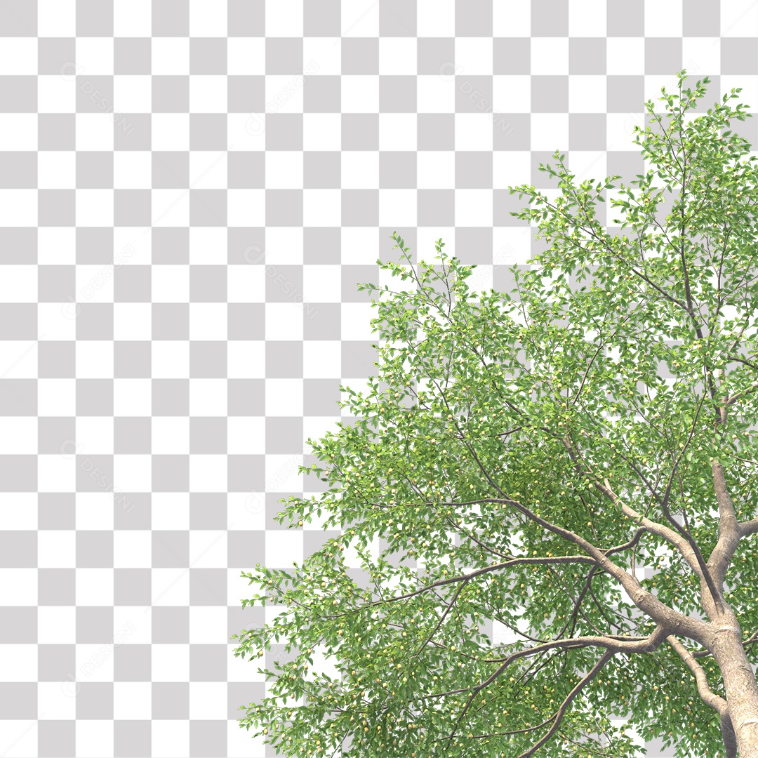 Árvores verdes PNG Transparente