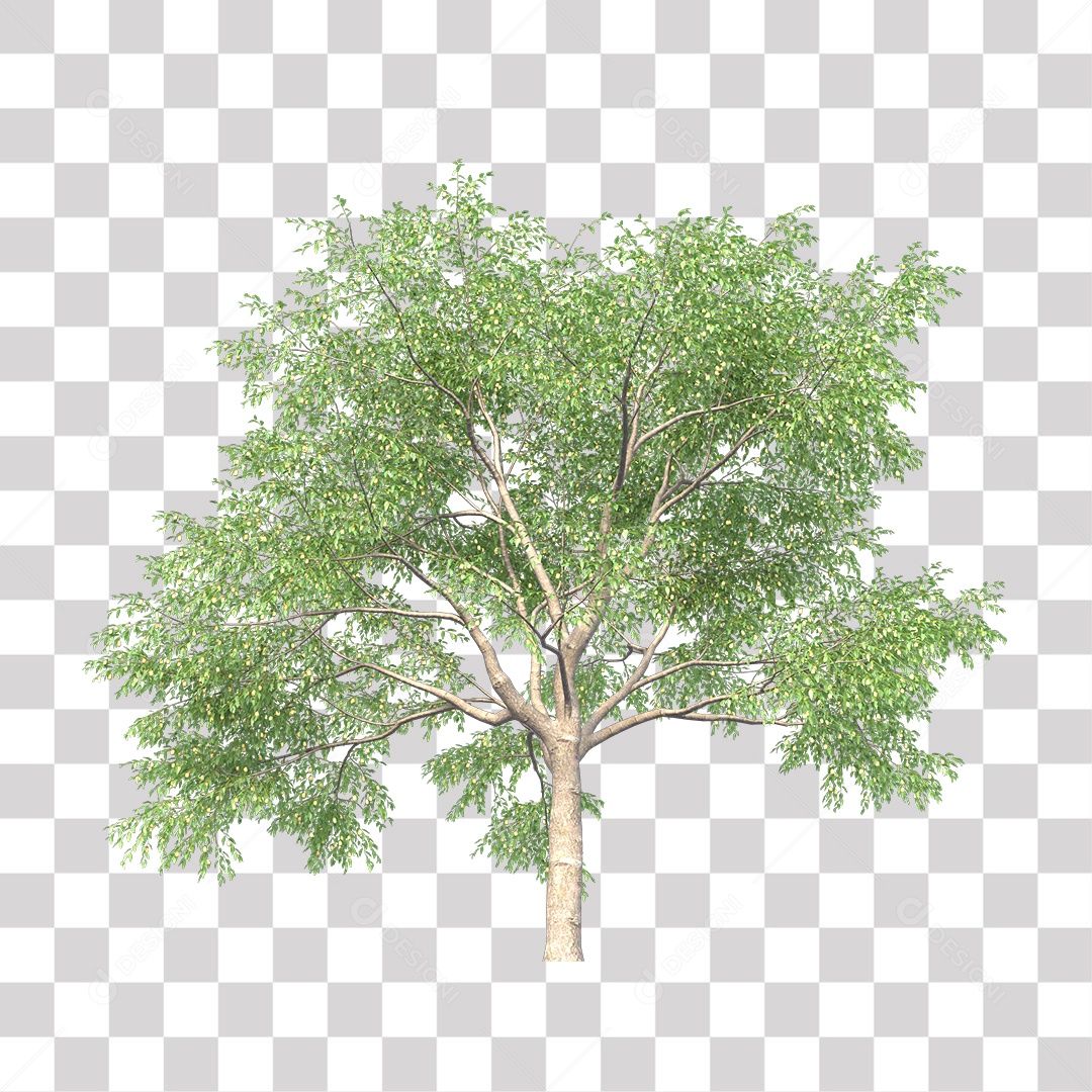 Árvores verdes PNG Transparente