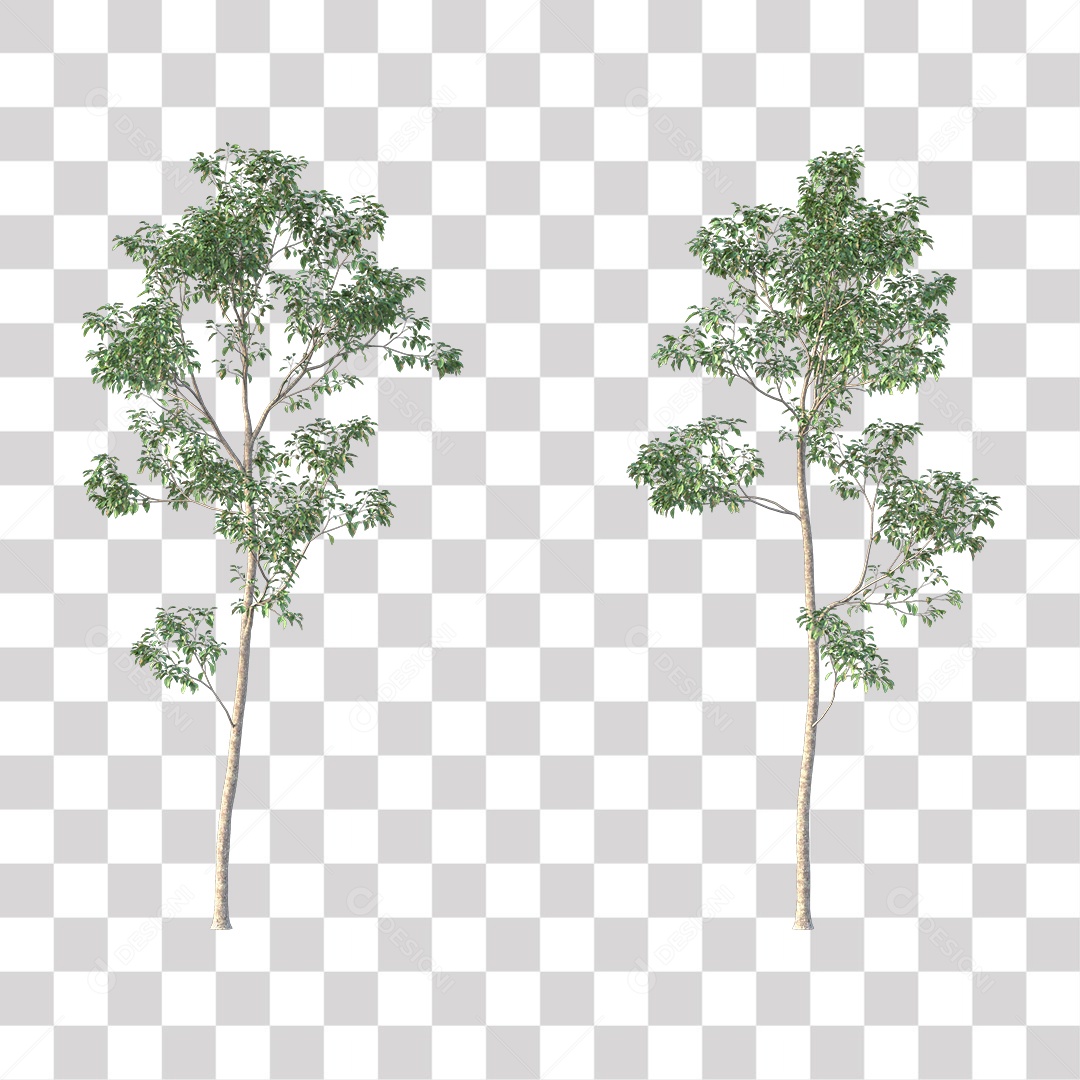 Árvores verdes PNG Transparente