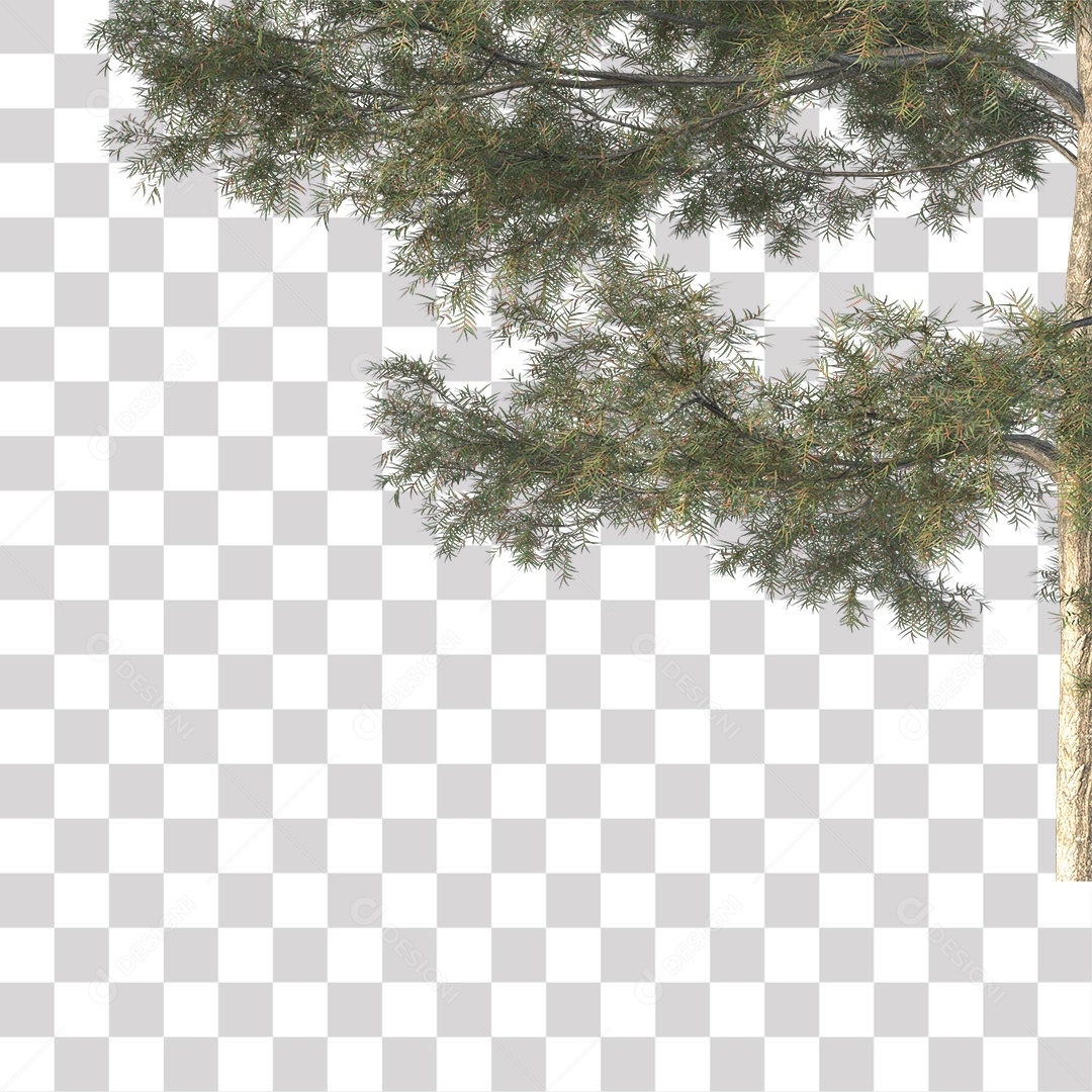 Árvores verdes PNG Transparente