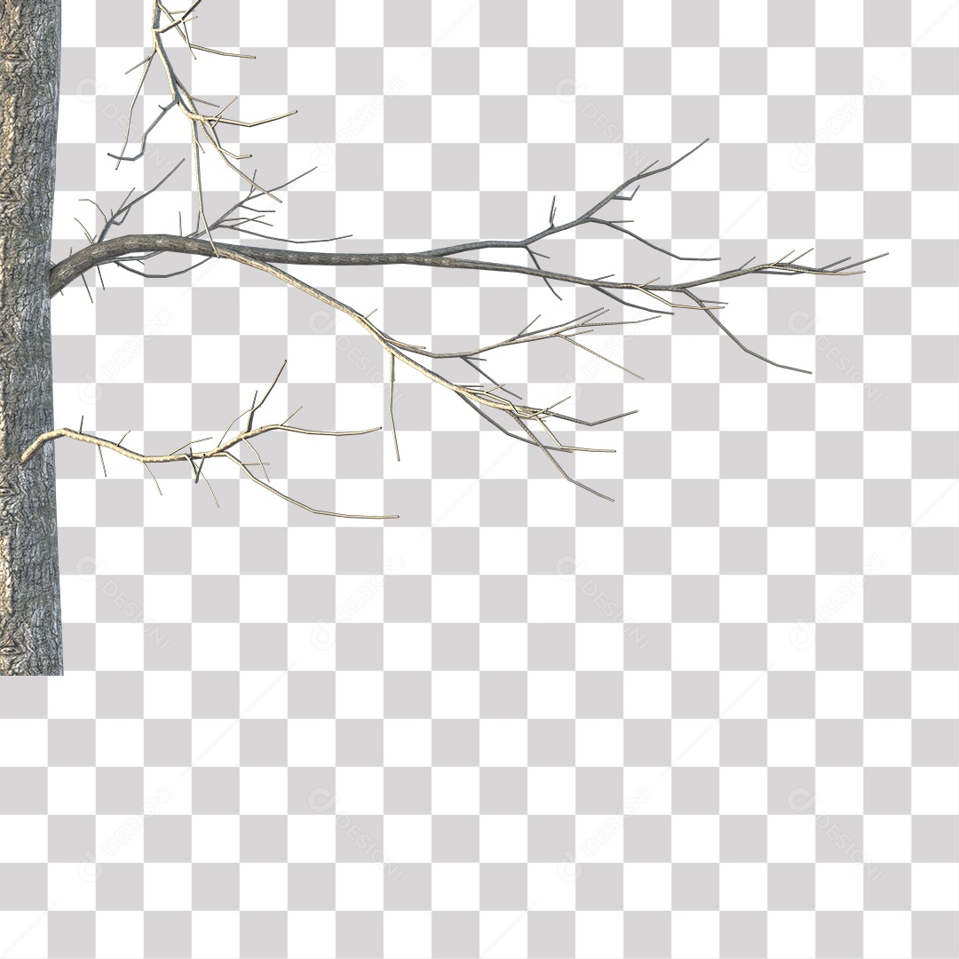 Galho Seco PNG Transparente