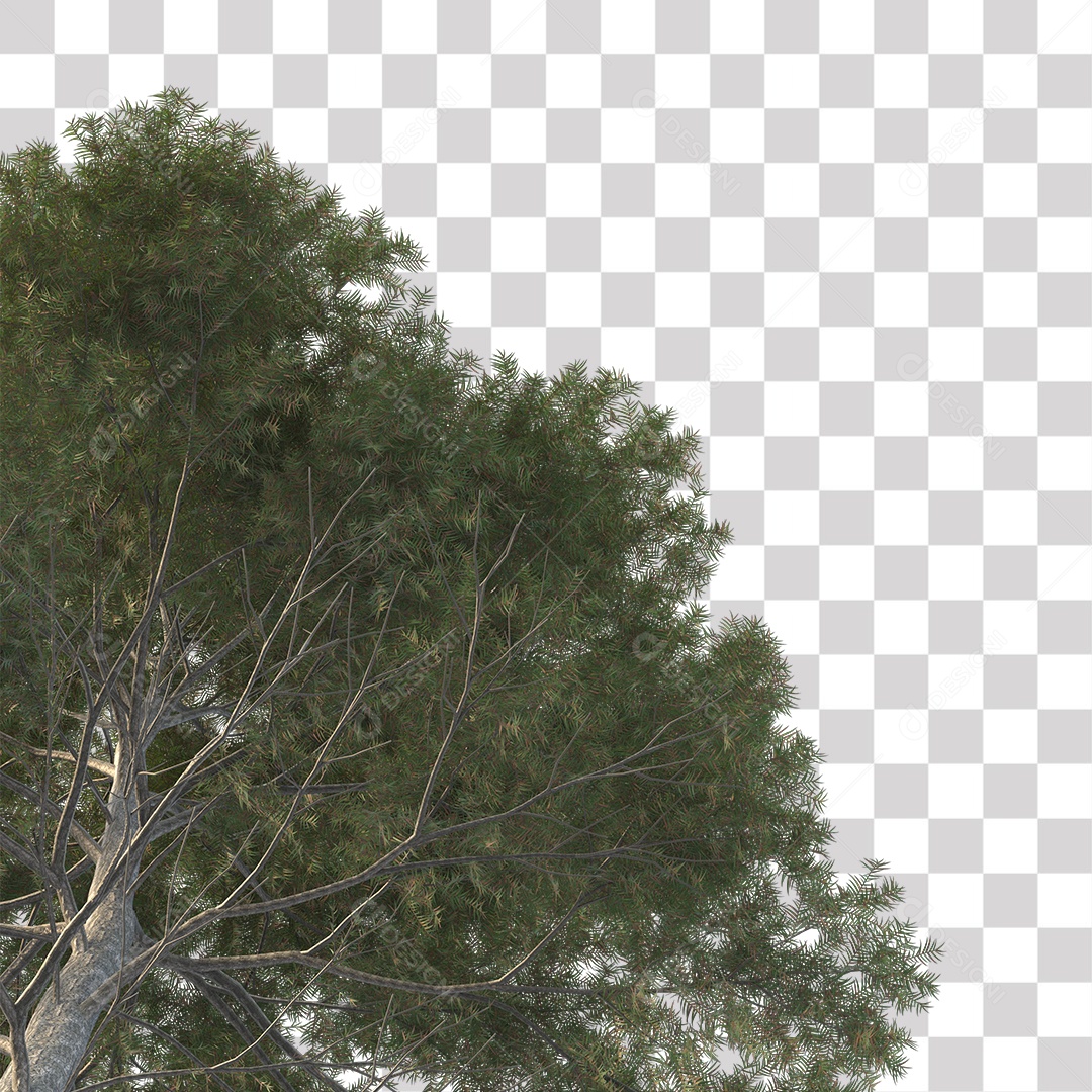 Árvores verdes PNG Transparente