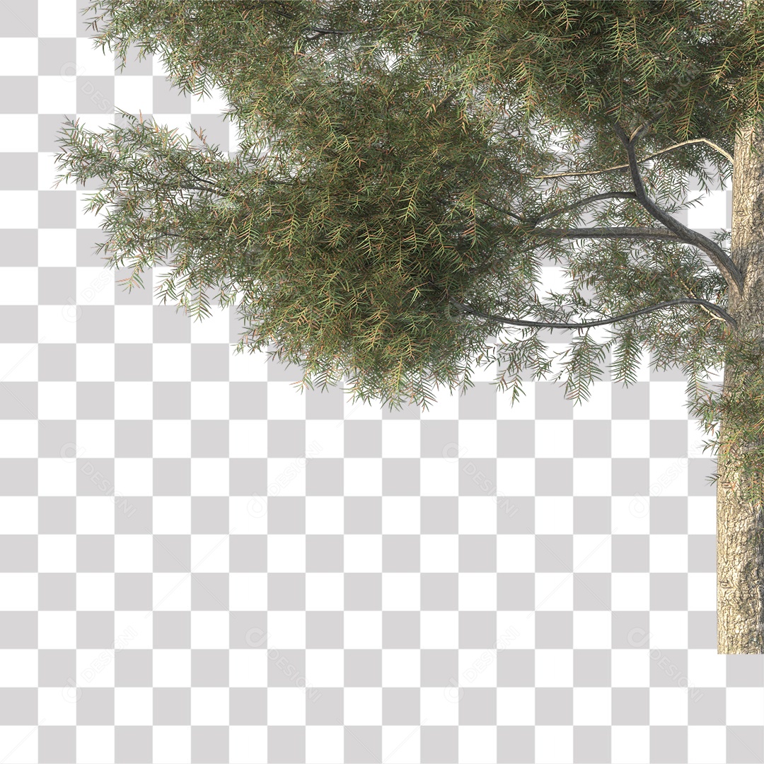 Árvores verdes PNG Transparente